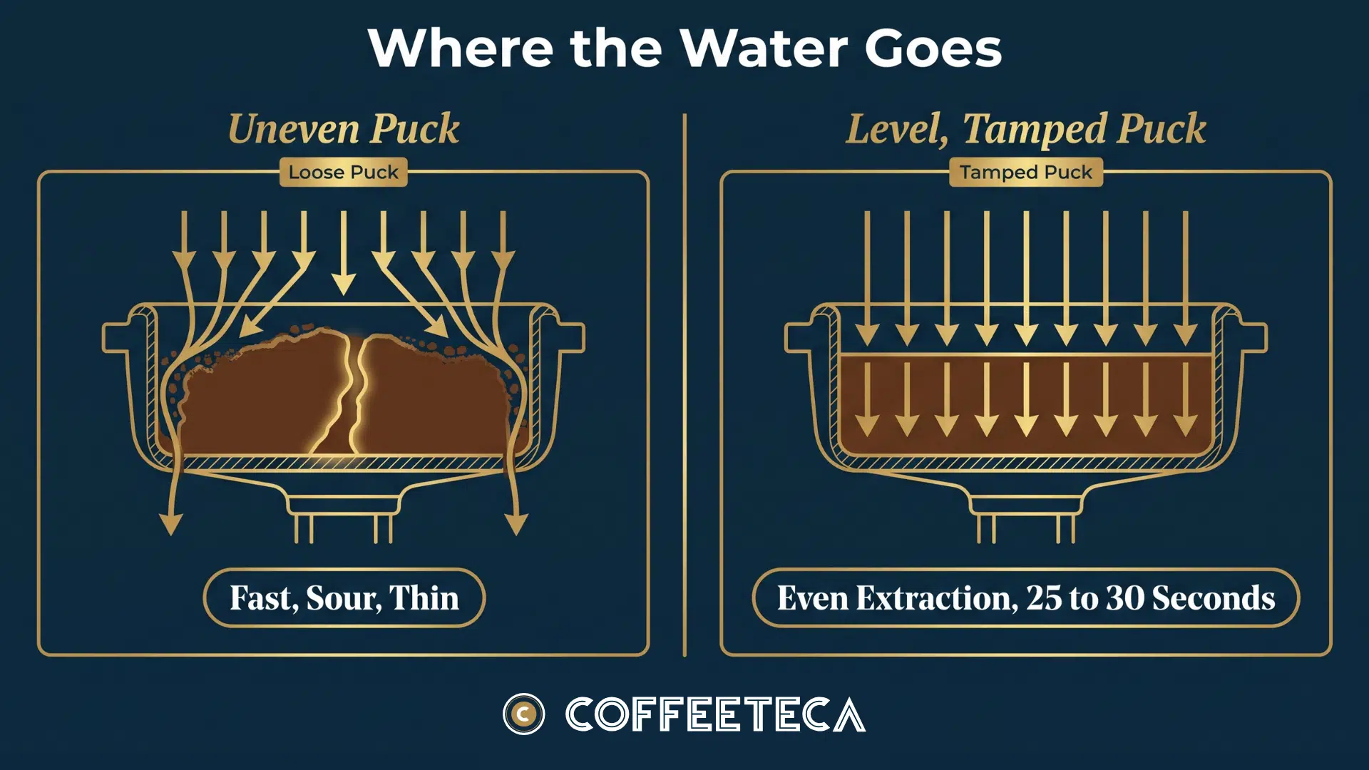 Cross-section comparing an uneven espresso puck with channelling and a level, evenly tamped pucke
